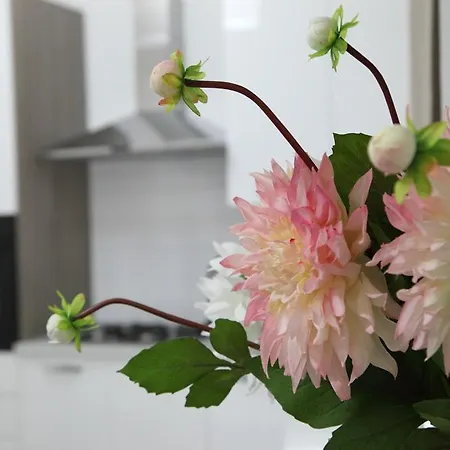 Alojamento de Acomodação e Pequeno-almoço Rosaly San Cataldo (Sicily)