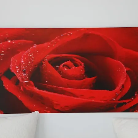 Alojamento de Acomodação e Pequeno-almoço Rosaly