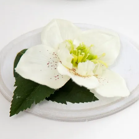 Alojamento de Acomodação e Pequeno-almoço Rosaly 4*