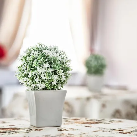 Alojamento de Acomodação e Pequeno-almoço Rosaly